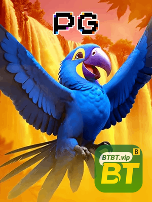 BTBET bônus — cashback 15 por cento e níveis VIP